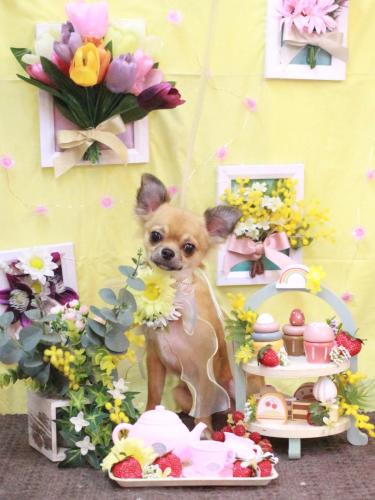 20230318れおくん